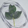 A clear acrylic wedding invitation in a geometric, diamond-like shape is positioned over a green leaf on a white surface. The invitation features the names in a large, bold sans-serif font, with the rest of the text in a smaller, lighter font. The text on the invitation read.