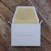 Mailing Box Art Paper with Silver Lining (4)