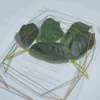 A transparent acrylic wedding invitation resting on a single, soft green leaves. The card is decorated with a bold gold geometric frame consisting of thin, intersecting lines that create a large diamond and angular border. The invitation text is printed in elegant gold foil.