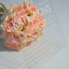 A transparent, rectangular acrylic Bat Mitzvah invitation stands angled on a white surface, with a bouquet of peach-colored roses directly behind it. The clear material allows the soft textures and colors of the flowers to be seen through the invitation details.