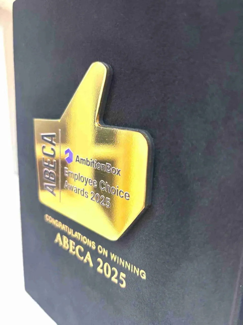 Custom Luxury Velvet Award Box with Gold Mirror Acrylic Plaque • Employee Excellence Awards for Corporate Gala (10)