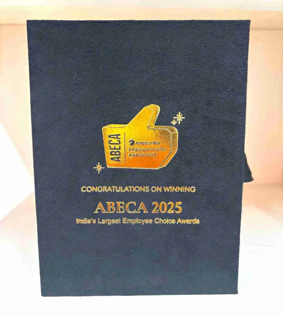 Custom Luxury Velvet Award Box with Gold Mirror Acrylic Plaque • Employee Excellence Awards for Corporate Gala (2)