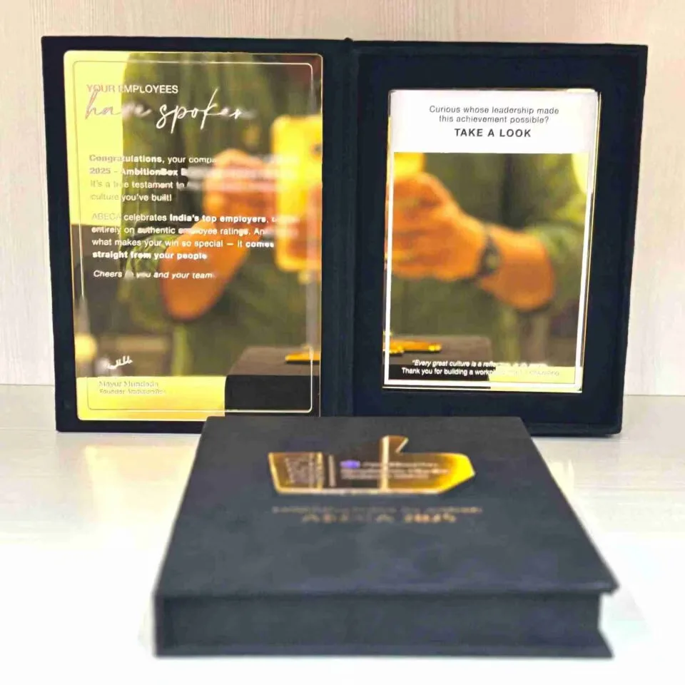 Custom Luxury Velvet Award Box with Gold Mirror Acrylic Plaque • Employee Excellence Awards for Corporate Gala (4)
