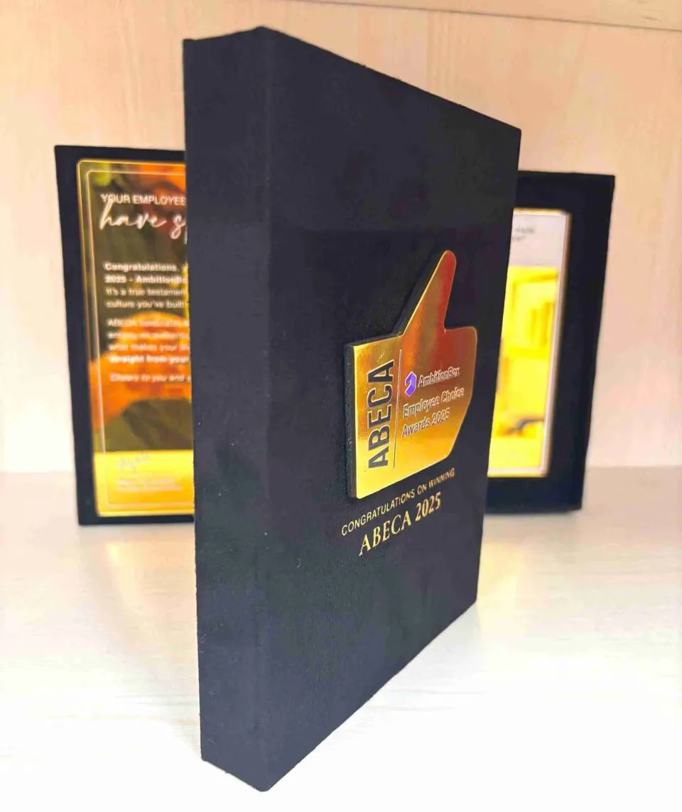 Custom Luxury Velvet Award Box with Gold Mirror Acrylic Plaque • Employee Excellence Awards for Corporate Gala (5)