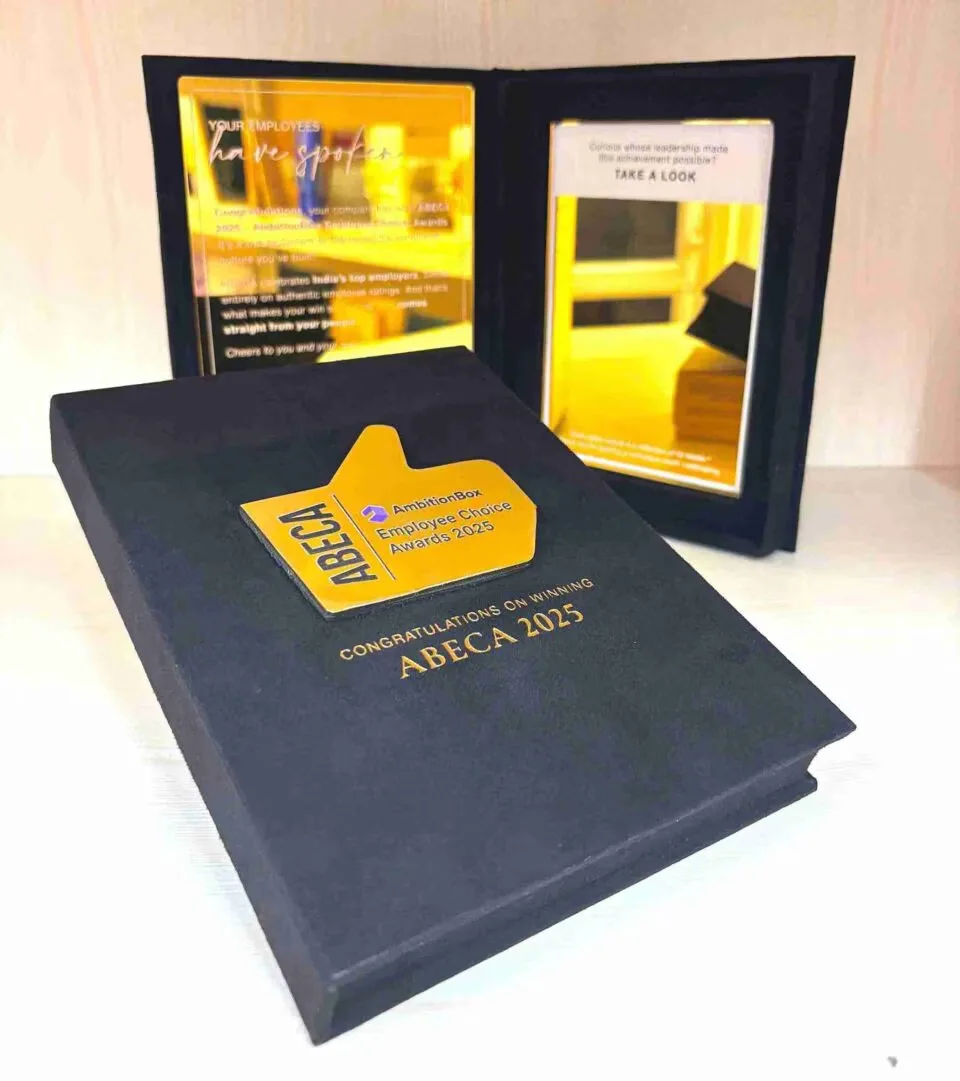 Custom Luxury Velvet Award Box with Gold Mirror Acrylic Plaque • Employee Excellence Awards for Corporate Gala (6)