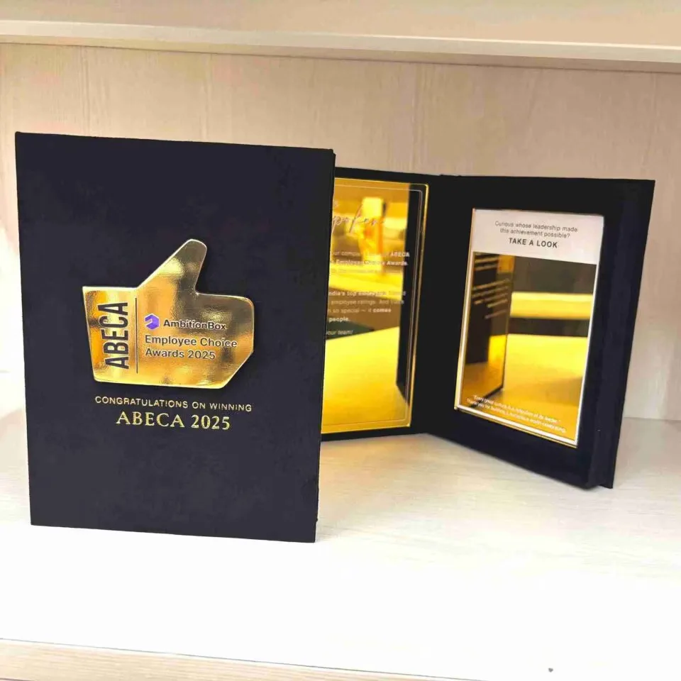 Custom Luxury Velvet Award Box with Gold Mirror Acrylic Plaque • Employee Excellence Awards for Corporate Gala (8)