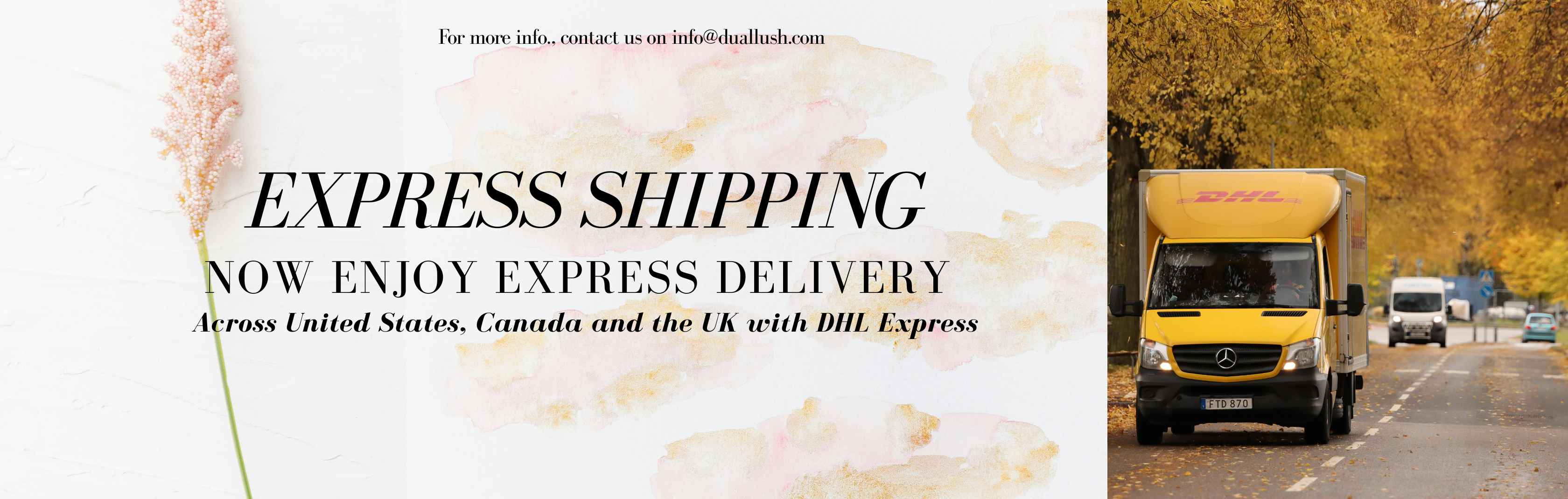 Express Shipping